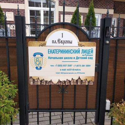 Монтаж домофонии и СКУД в Екатерининском лицее
